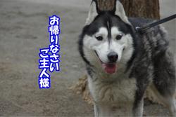 ご主人様.JPG