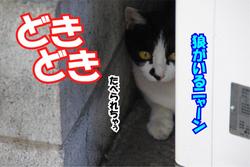 どきどき.JPG