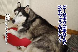 コケッ.JPG