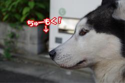 注目.JPG