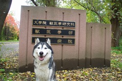 IMGP9172.jpg